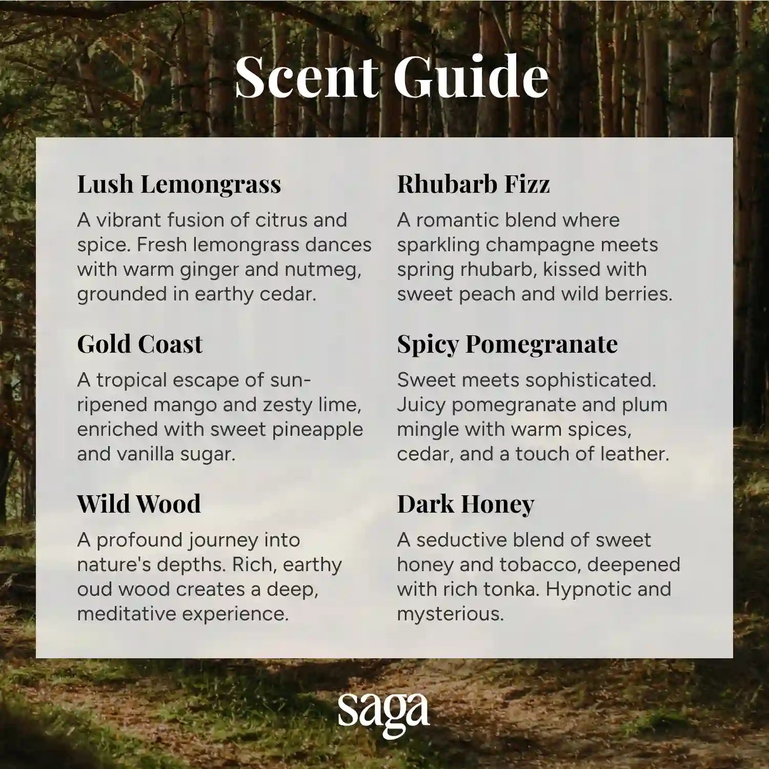 Scent Guide - Saga Candles